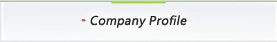 Company Profile