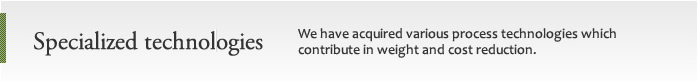 Specialized technologies We have acquired various process technologies which contribute in weight and cost reduction.