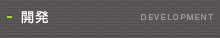 開発